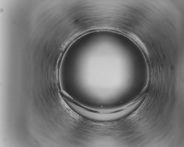 X0000087391388200704271611