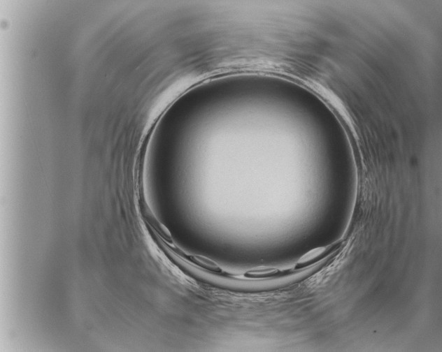 X0000087391389200704271611