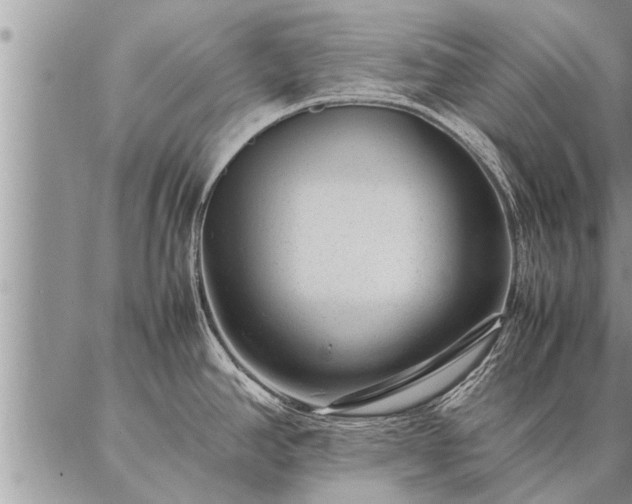 X0000087391390200704271611