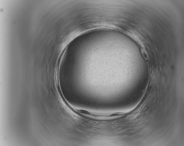 X0000087391391200704271611