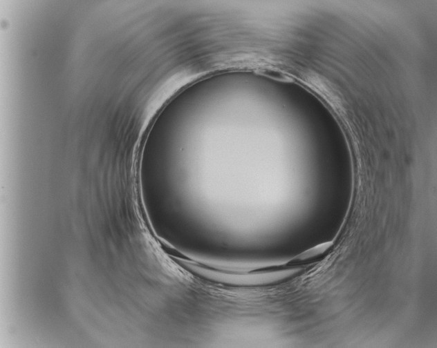 X0000087391392200704271611