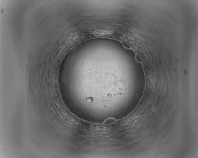 X0000087391393200704271610