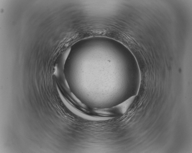 X0000087391394200704271610