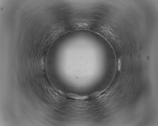 X0000087391395200704271610