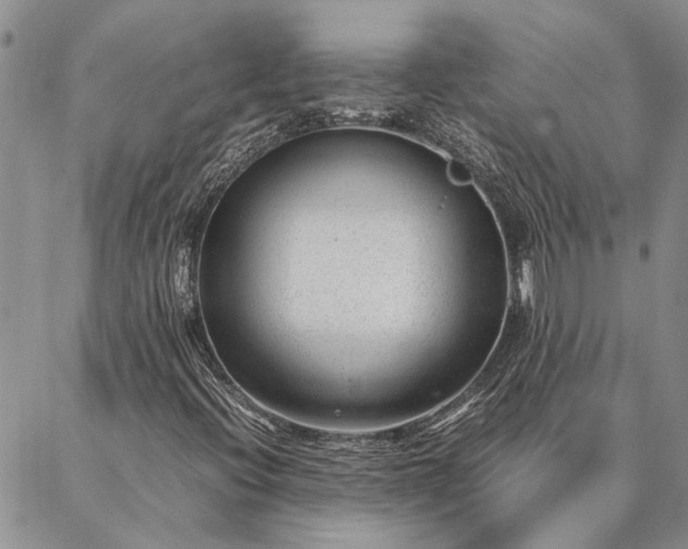 X0000087391396200704271610