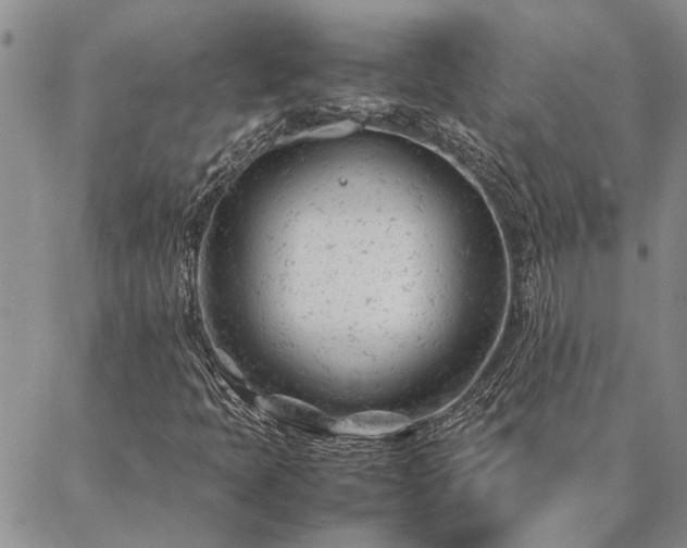 X0000087391397200704271610