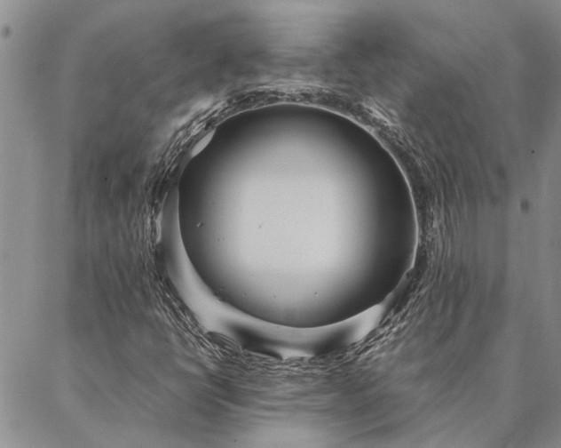 X0000087391398200704271610