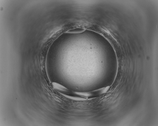 X0000087391399200704271610