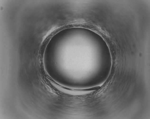 X0000087391400200704271610