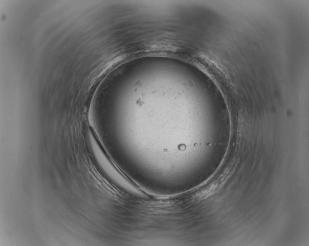 X0000087391401200704271610