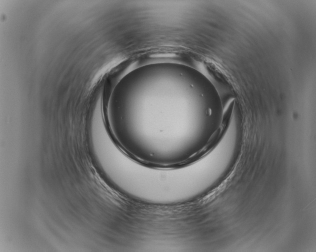 X0000087391402200704271610