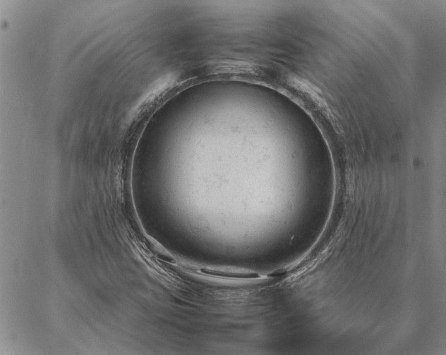 X0000087391403200704271610