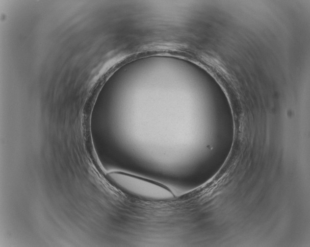 X0000087391404200704271610