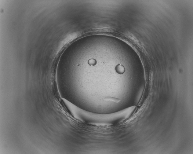 X0000087391405200704271611