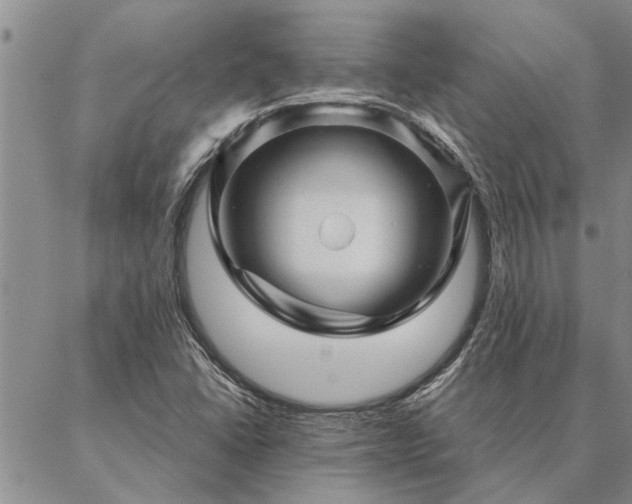 X0000087391406200704271611