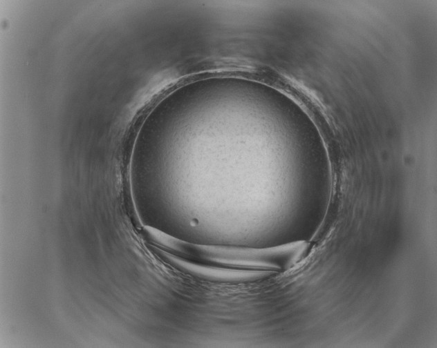 X0000087391407200704271611