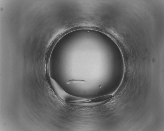 X0000087391408200704271611