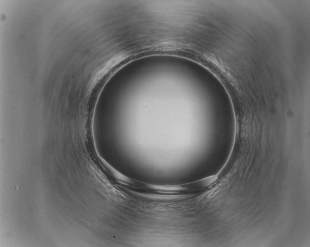 X0000087391410200704271611