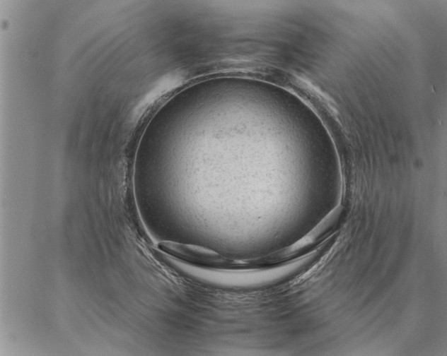 X0000087391411200704271611