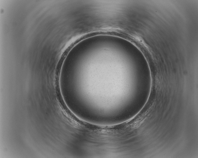 X0000087391412200704271611