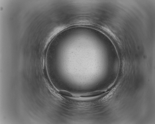 X0000087391413200704271611