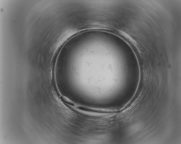 X0000087391415200704271611