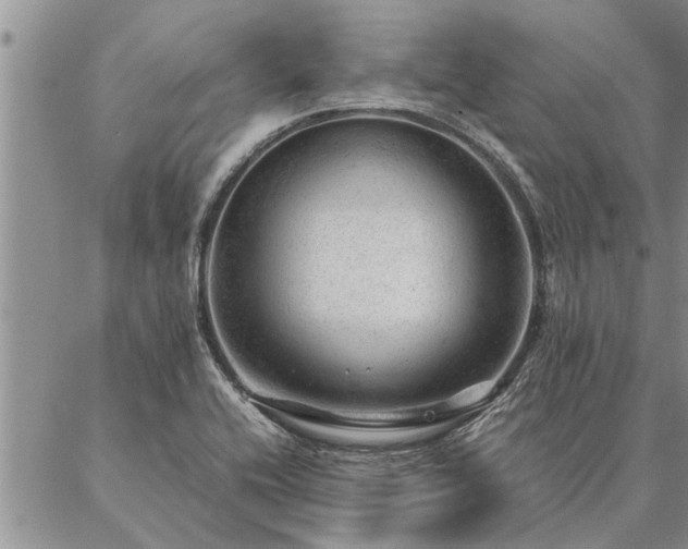 X0000087391416200704271611