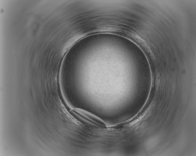 X0000087391417200704271611