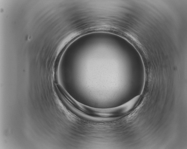 X0000087391418200704271611