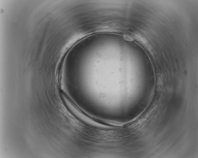 X0000087391419200704271611