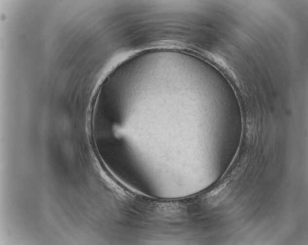 X0000087391421200704271611