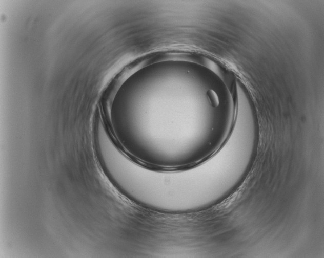 X0000087391422200704271611