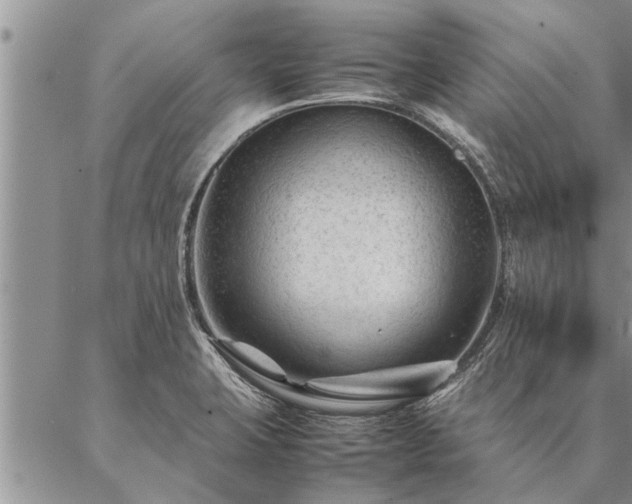 X0000087391423200704271611