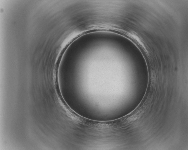 X0000087391424200704271611