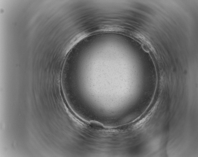 X0000087391425200704271611