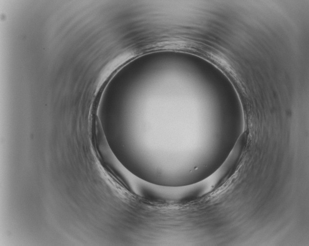 X0000087391426200704271611