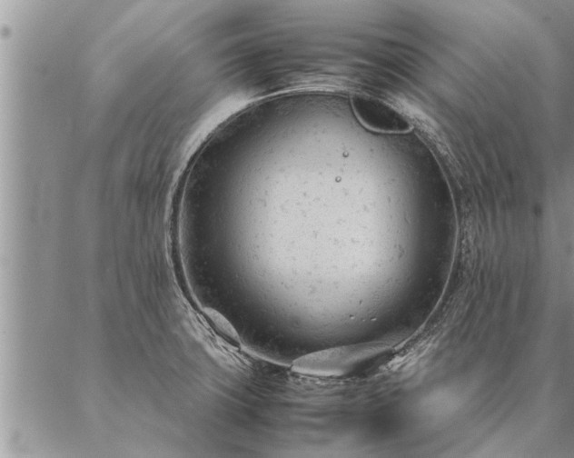 X0000087391427200704271611