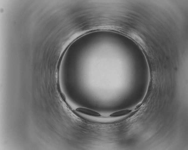 X0000087391428200704271611