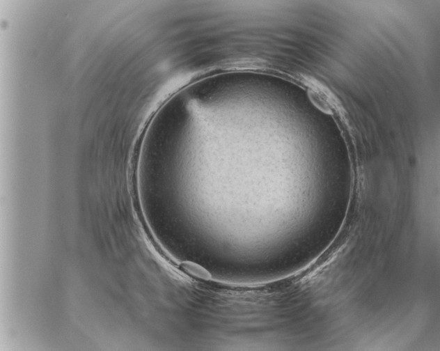 X0000087391429200704271611