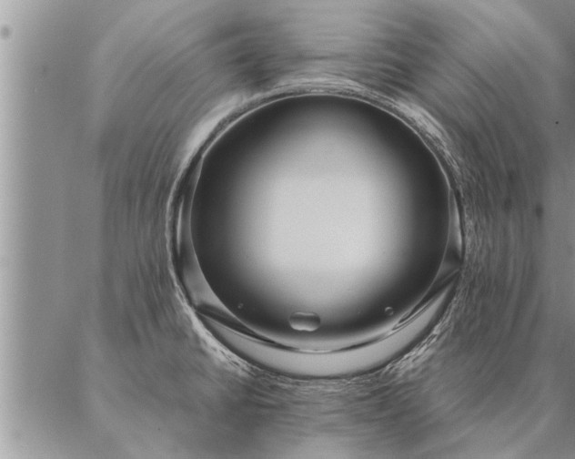 X0000087391430200704271611