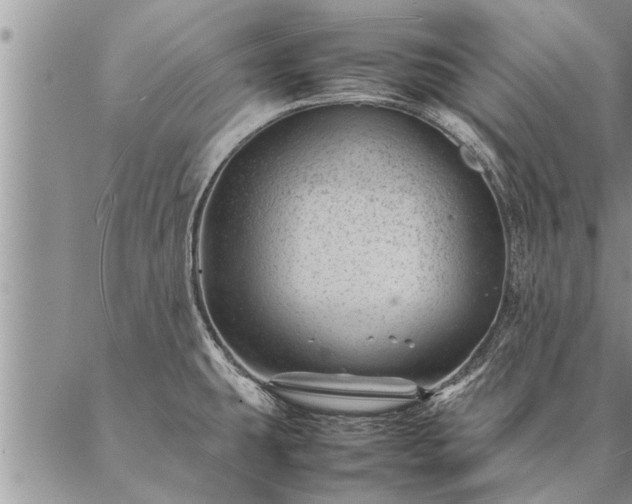 X0000087391431200704271611