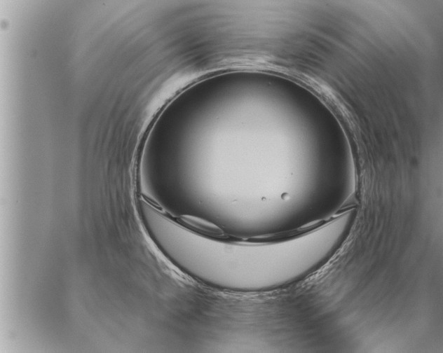 X0000087391432200704271611