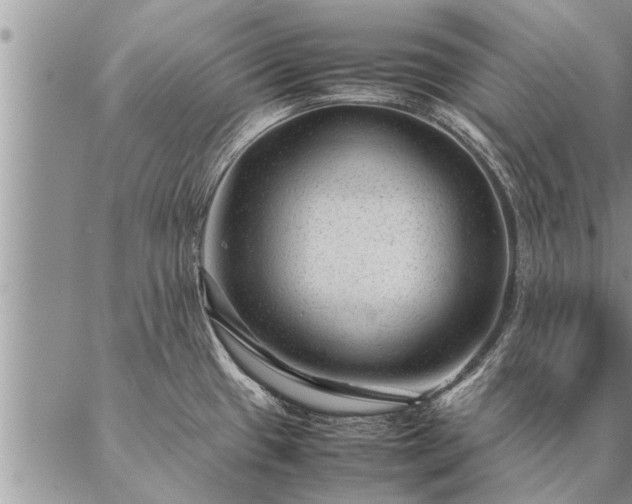 X0000087391433200704271611