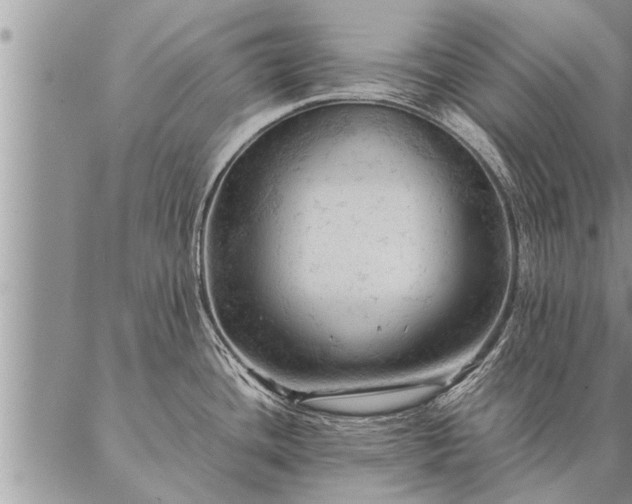 X0000087391436200704271611