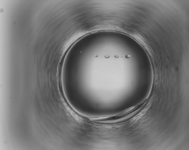 X0000087391438200704271611