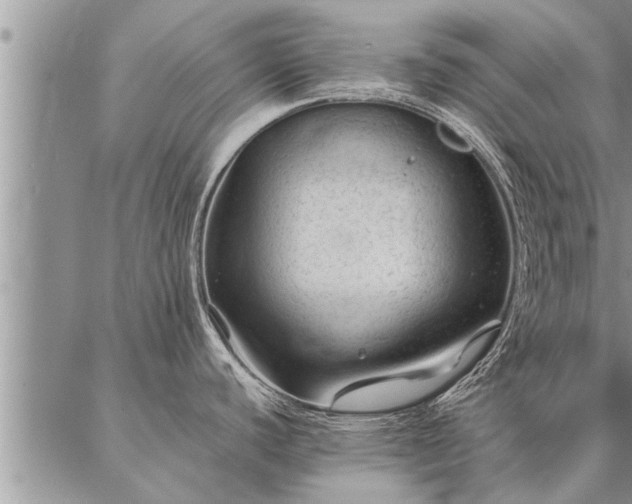 X0000087391440200704271611