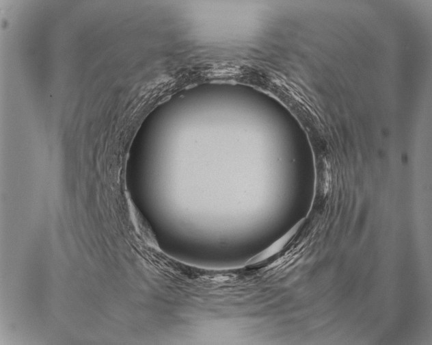 X0000087391441200704271610