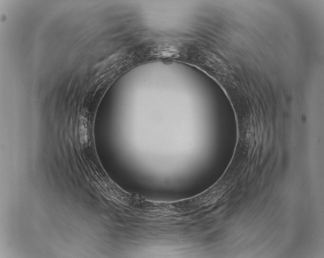 X0000087391442200704271610