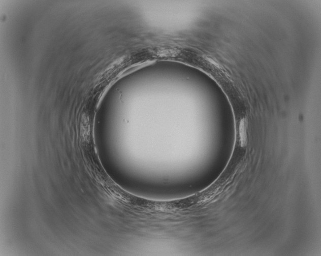 X0000087391443200704271610