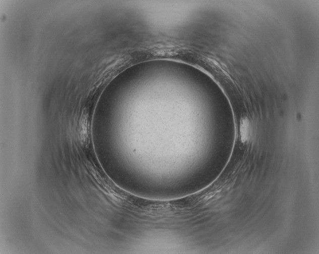 X0000087391444200704271610